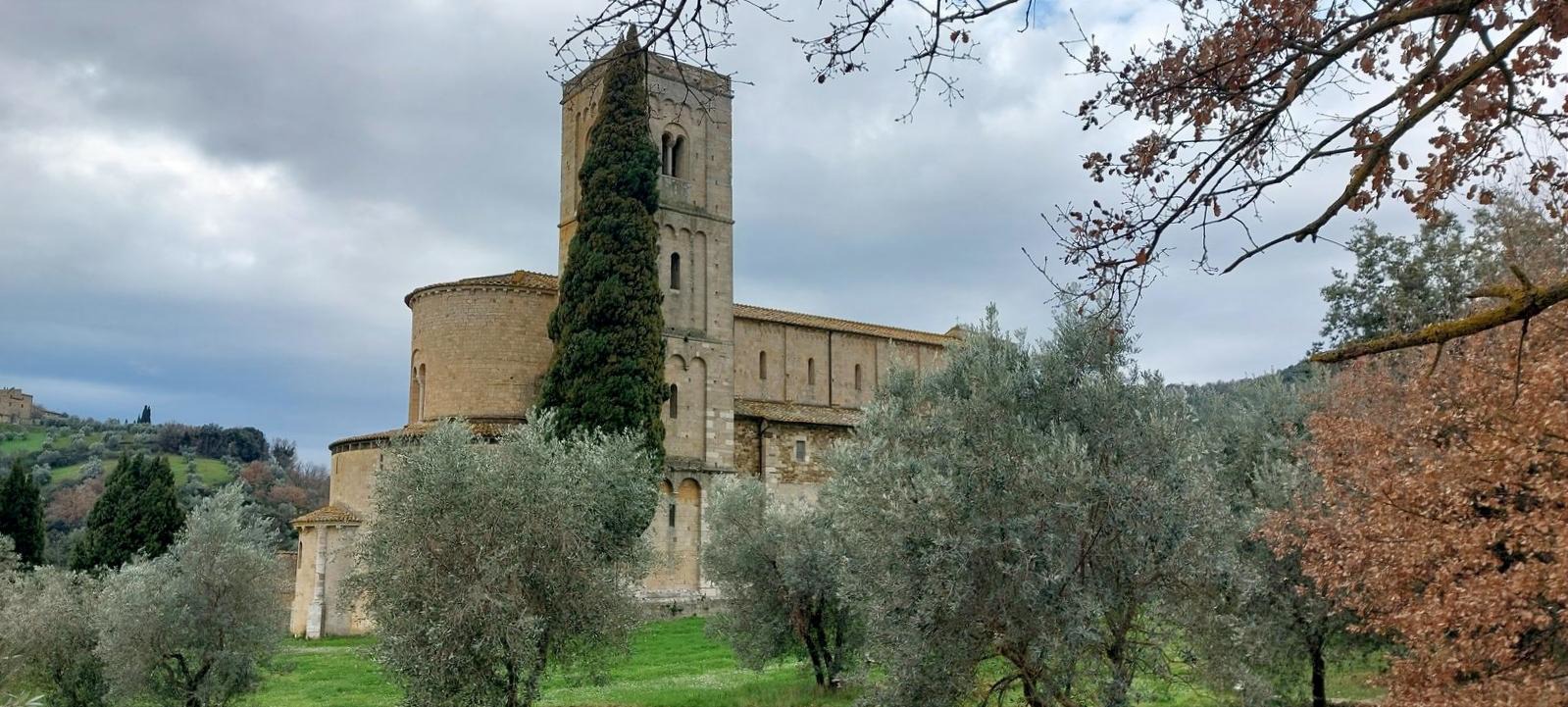 piatto di spezzatino di carne al ristorante